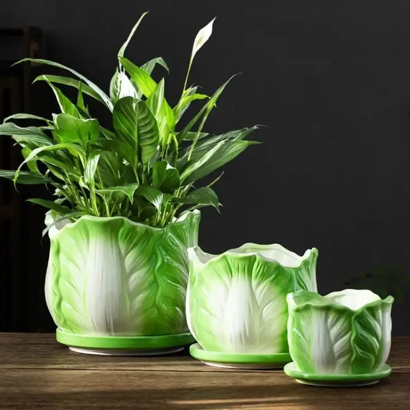 Creative green & white ceramic cabbage flowerpot – indoor garden basin