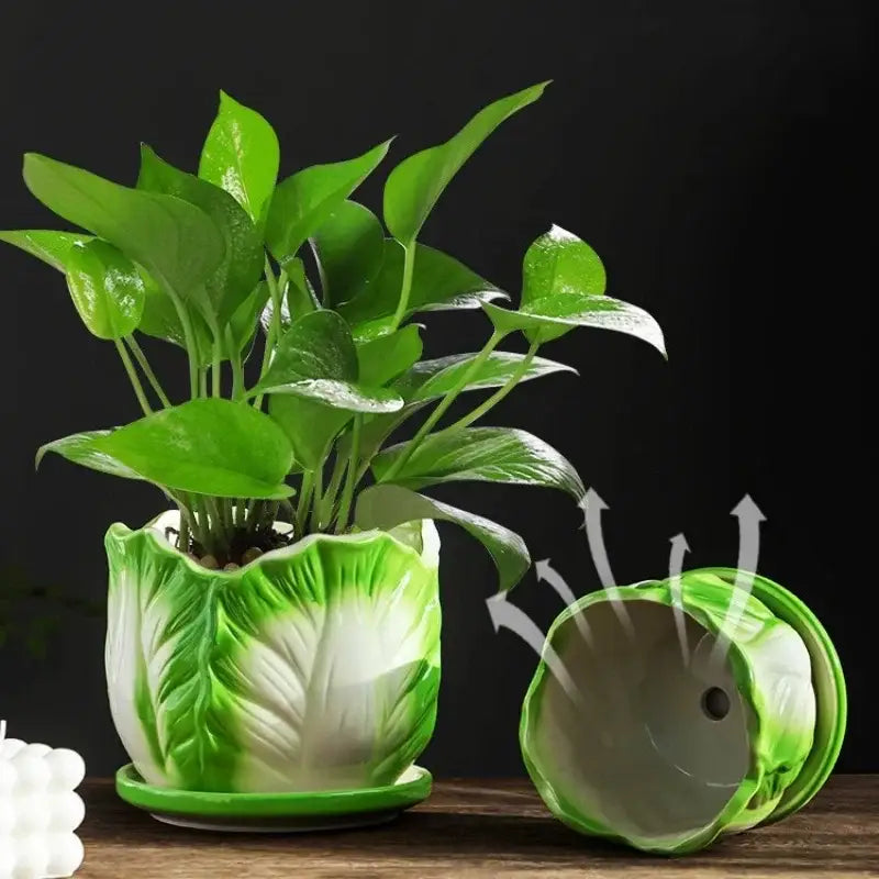 Creative green & white ceramic cabbage flowerpot – indoor garden basin
