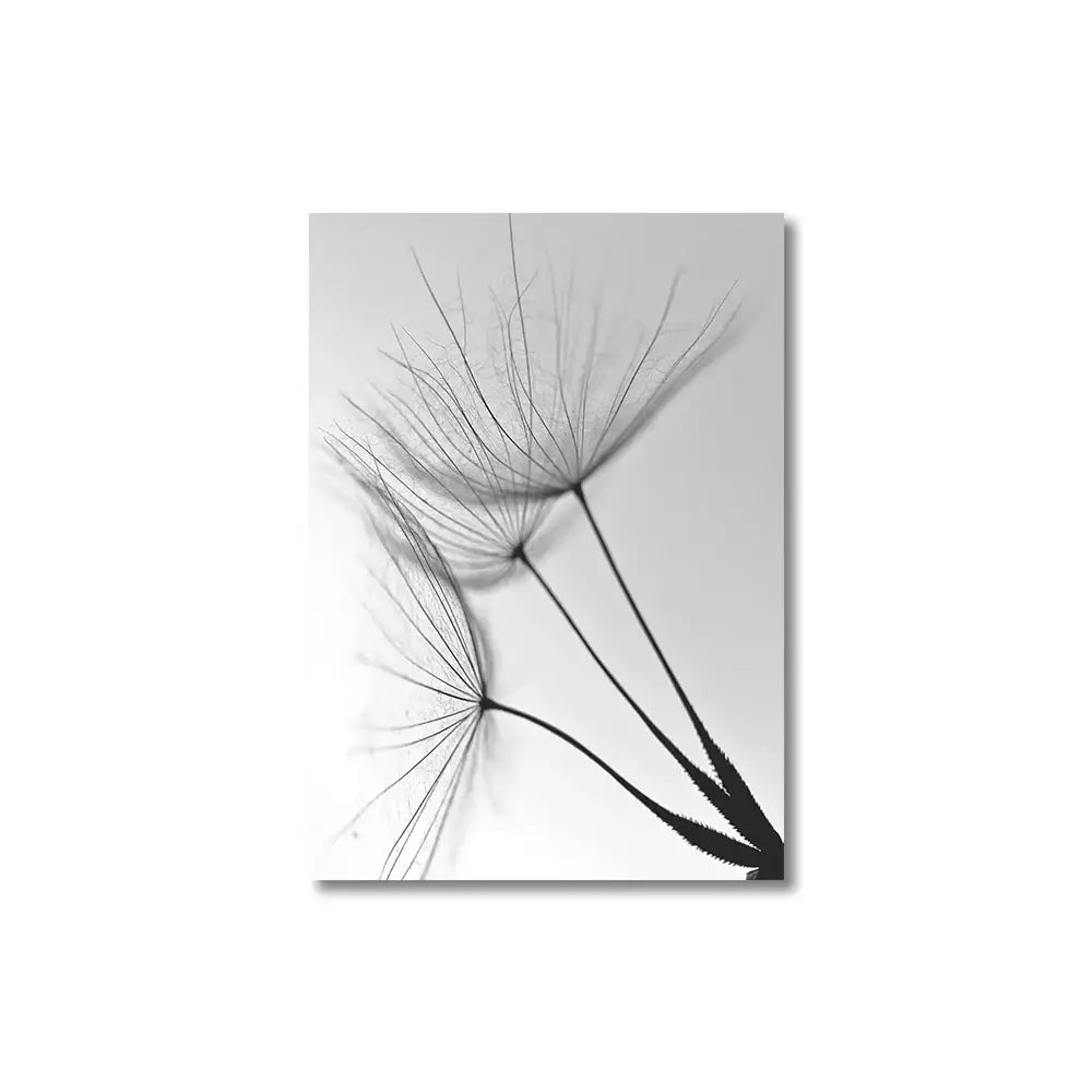 Dandelion Canvas Wall Art Black White