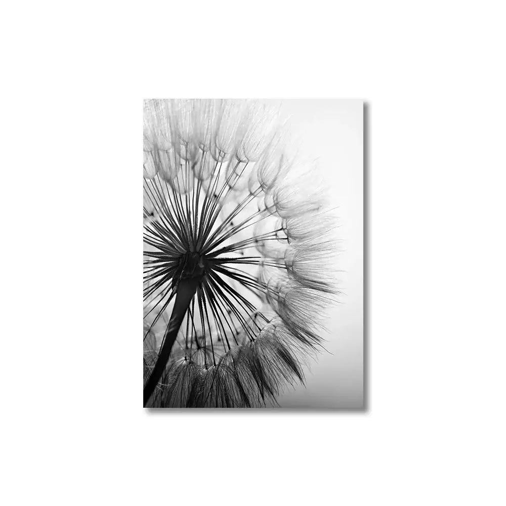 Dandelion Canvas Wall Art Black White