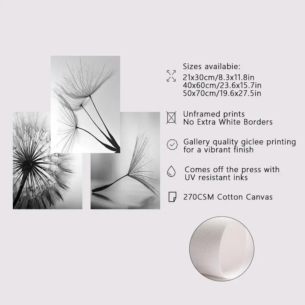 Dandelion Canvas Wall Art Black White