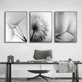DecorBites black and white dandelion canvas wall art featuring three framed dandelion flower pictures in monochrome