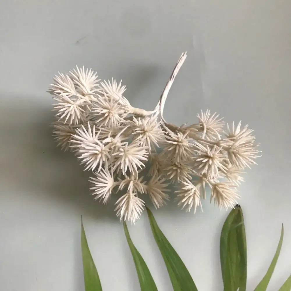 DecorBites™ 6pcs Dried Flower Mix for Jewelry Making & Aromatherapy Candle Crafts
