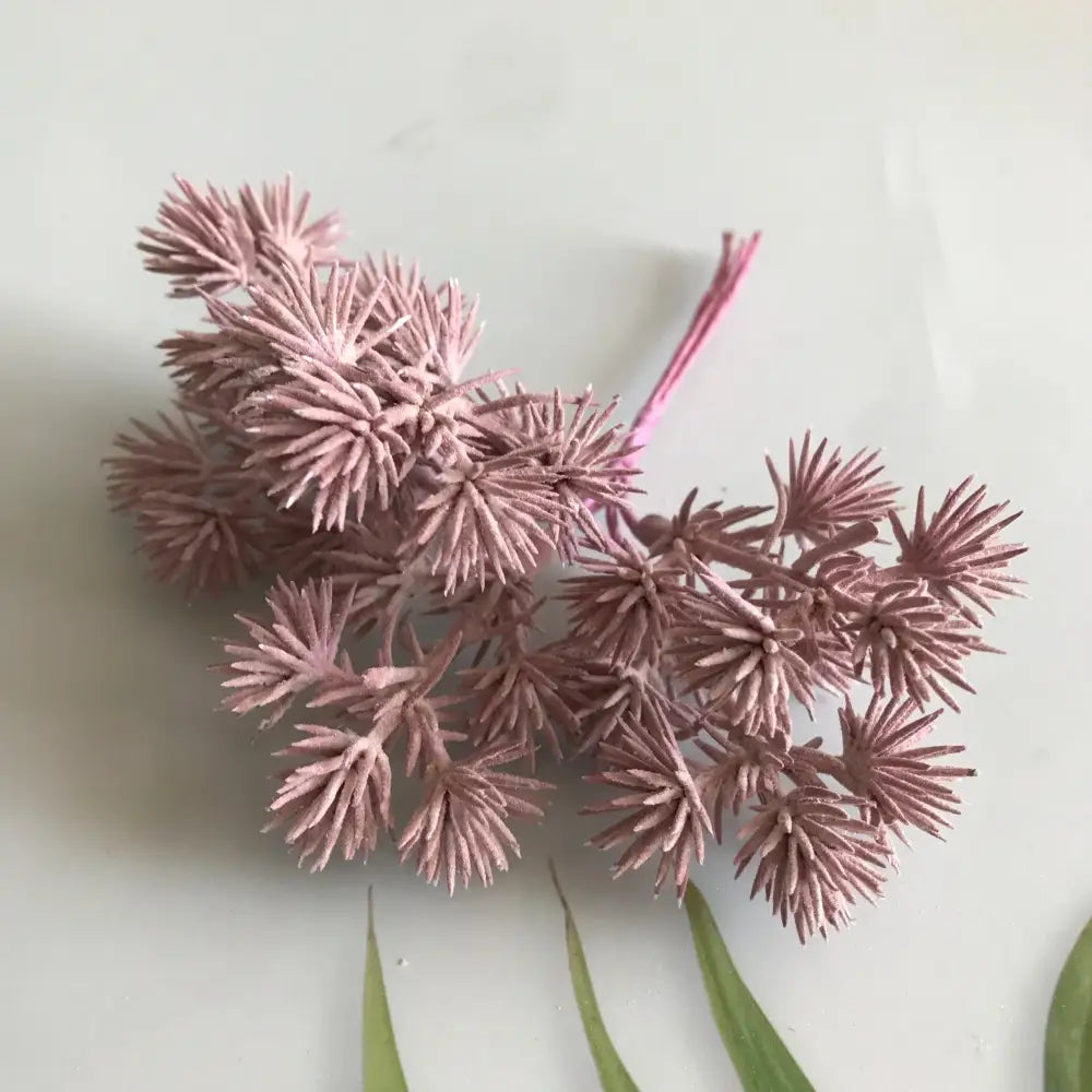 DecorBites™ 6pcs Dried Flower Mix for Jewelry Making & Aromatherapy Candle Crafts
