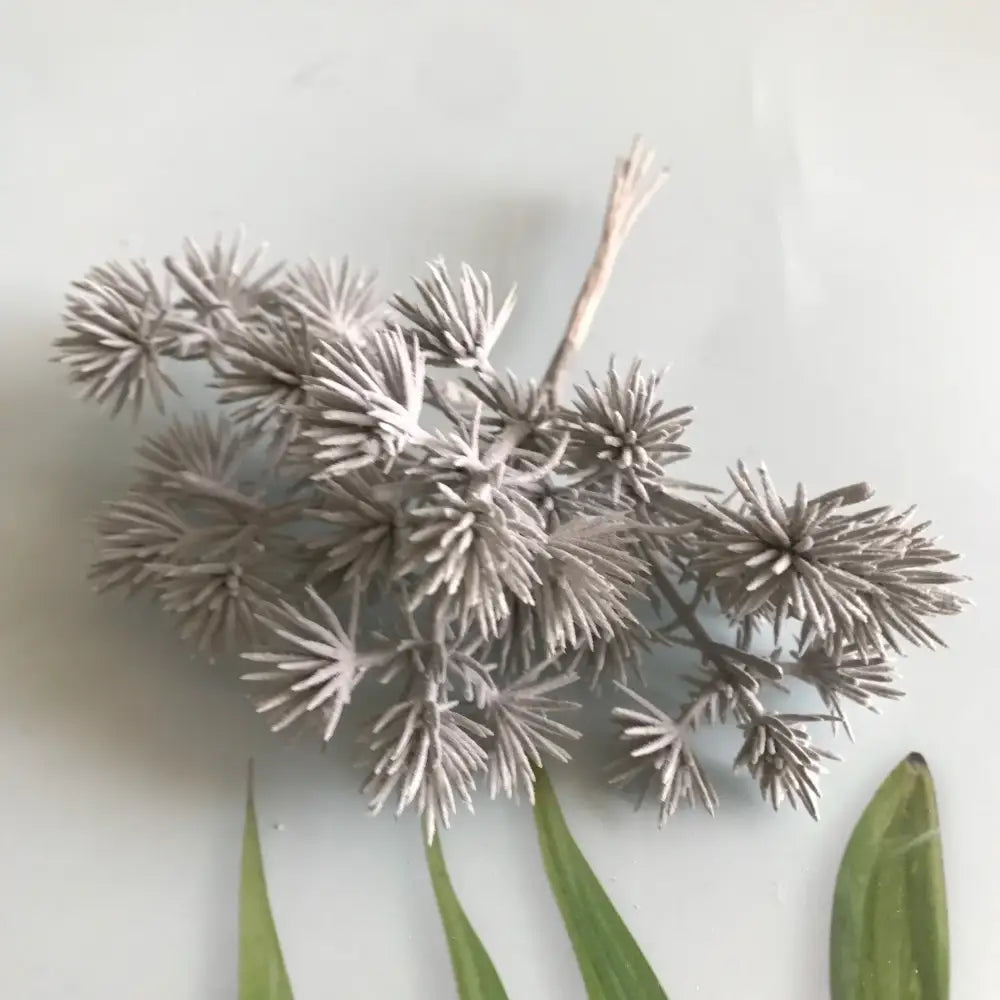DecorBites™ 6pcs Dried Flower Mix for Jewelry Making & Aromatherapy Candle Crafts