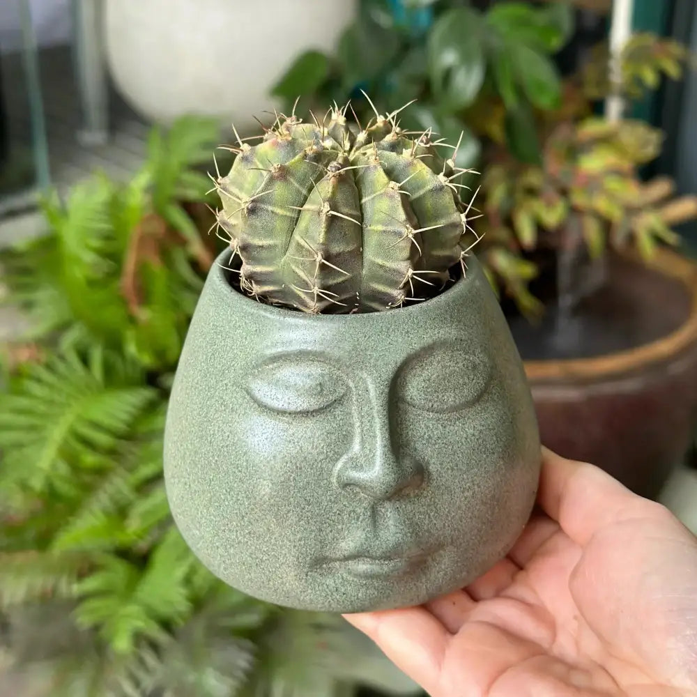 DecorBites™ Abstract Face Ceramic Flowerpot Vase Ashtray Plant Home Decor Accessories