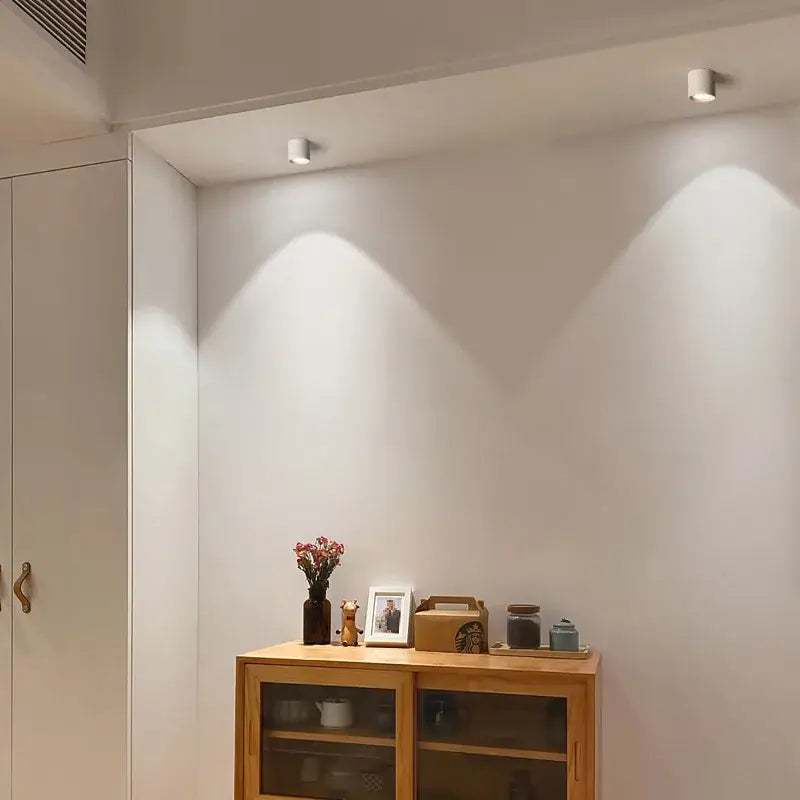 DecorBites™ Aluminum Ceiling Lamp: Cylindrical Surface Mounted Downlight with Adjustable Beam Angle