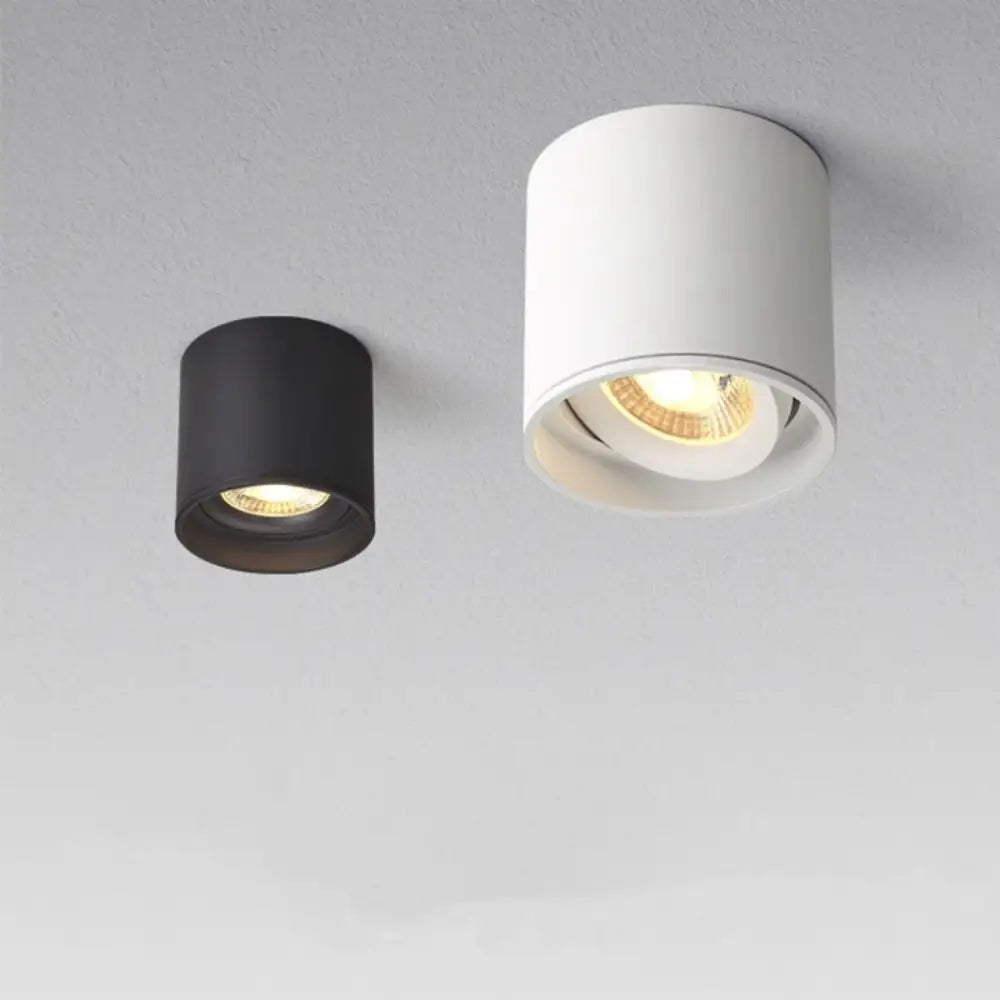 DecorBites™ Aluminum Ceiling Lamp: Cylindrical Surface Mounted Downlight with Adjustable Beam Angle
