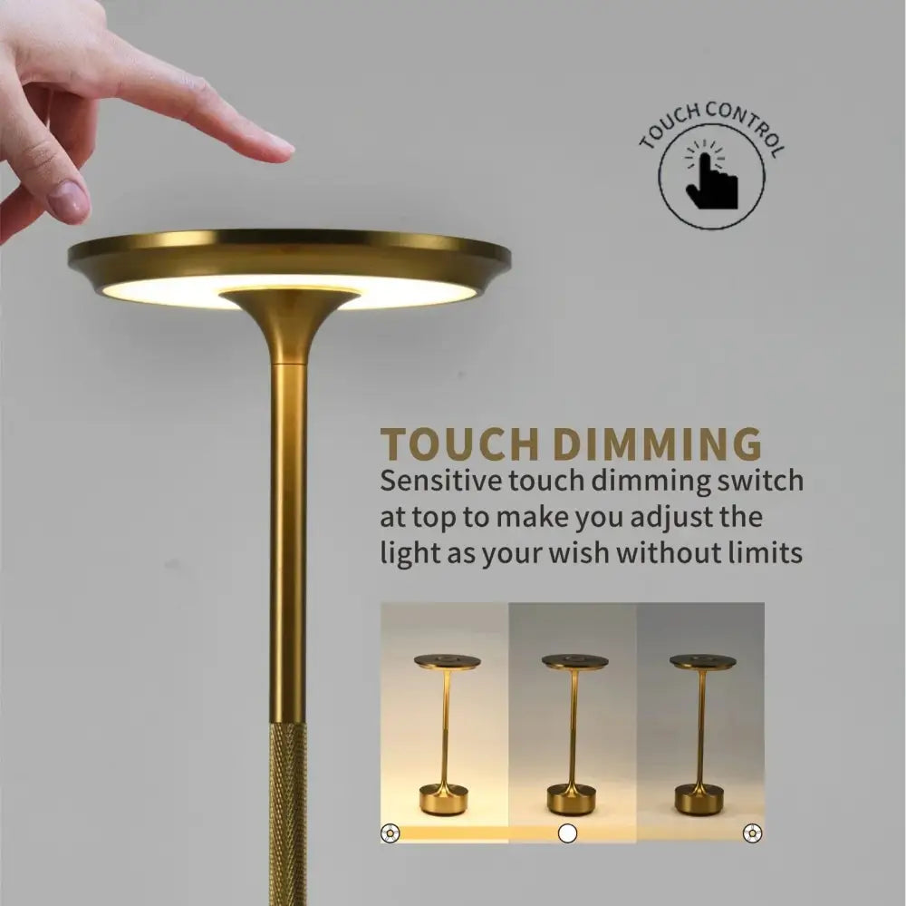 DecorBites™ Aluminum LED Desk Lamp Touch Switch Cordless Table Light for Living Room