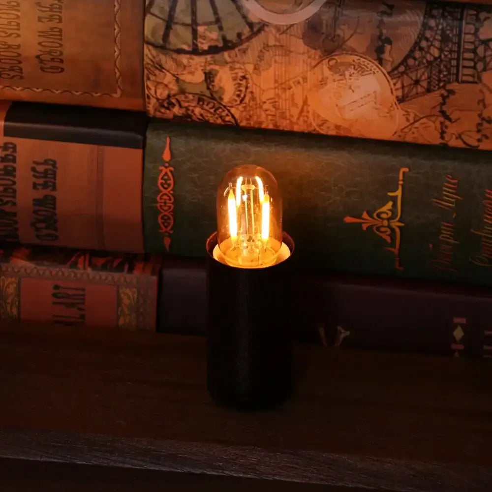 DecorBites™ Amber Glass LED Bulb | Low Volts Mini Light | Warm White 2200K
