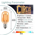 DecorBites™ Amber Glass LED Bulb | Low Volts Mini Light | Warm White 2200K
