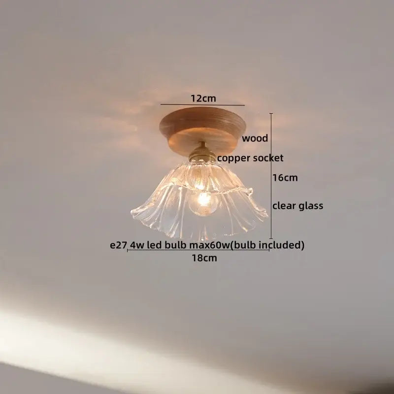 DecorBites™ Amber Glass LED Ceiling Lights Modern Decoration for Home Porch Restaurant