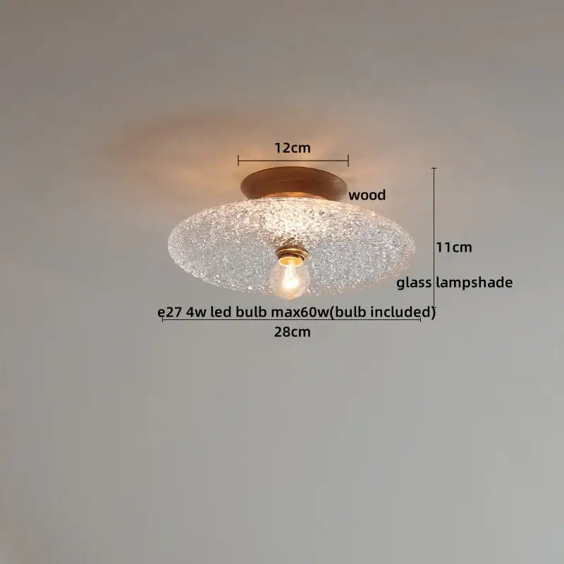 DecorBites™ Amber Glass LED Ceiling Lights Modern Decoration for Home Porch Restaurant