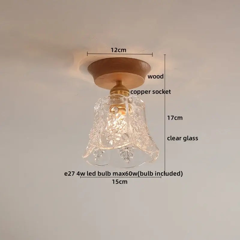 DecorBites™ Amber Glass LED Ceiling Lights Modern Decoration for Home Porch Restaurant