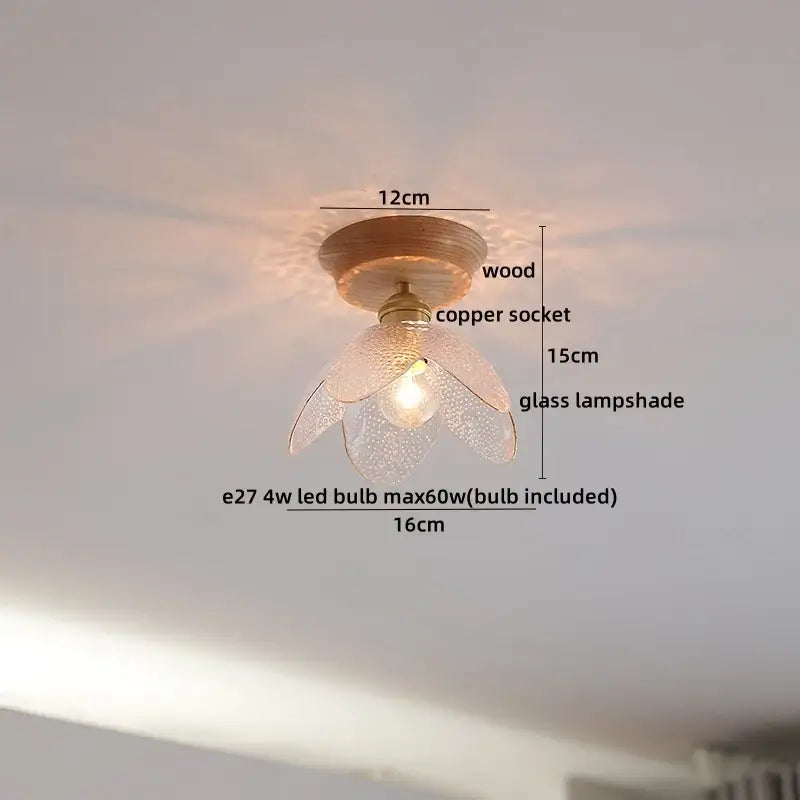 DecorBites™ Amber Glass LED Ceiling Lights Modern Decoration for Home Porch Restaurant