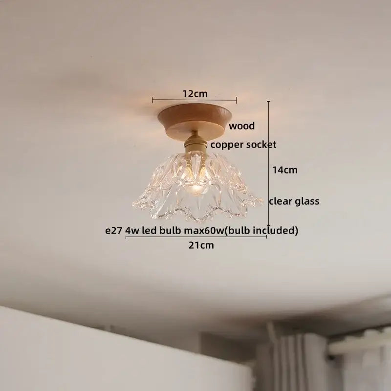 DecorBites™ Amber Glass LED Ceiling Lights Modern Decoration for Home Porch Restaurant