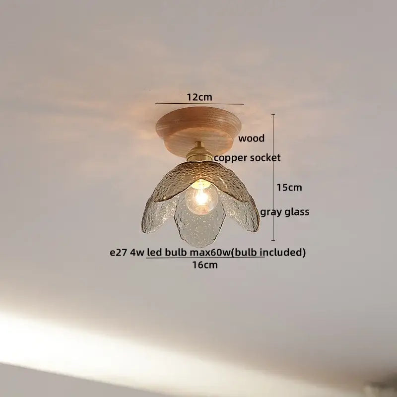 DecorBites™ Amber Glass LED Ceiling Lights Modern Decoration for Home Porch Restaurant