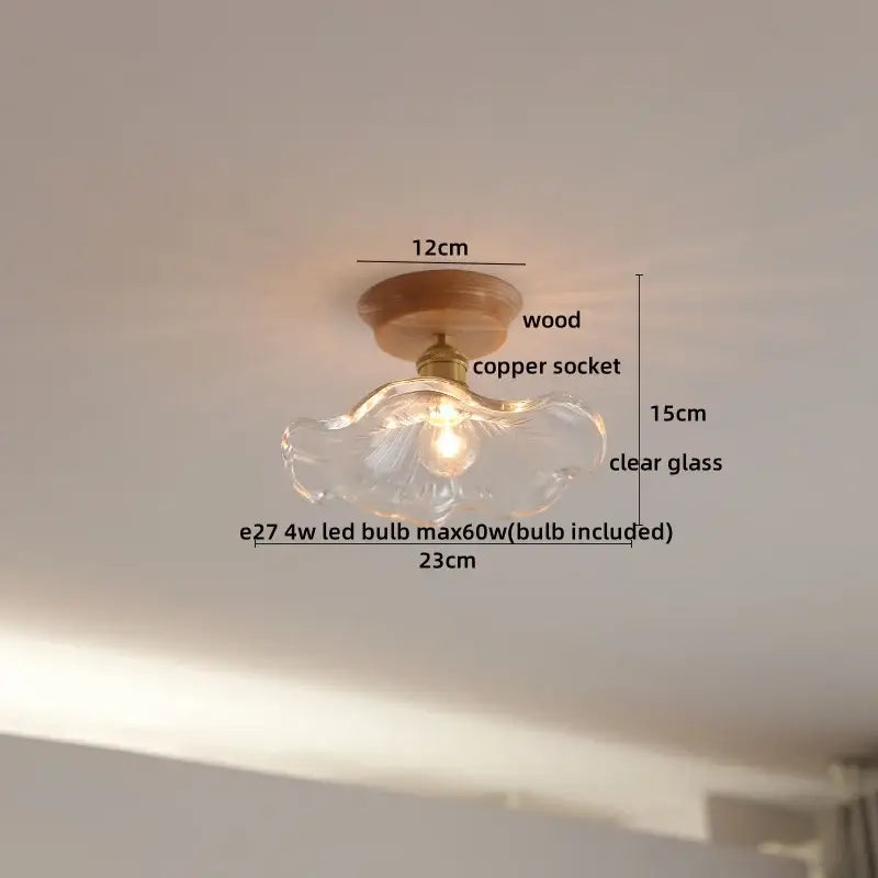 DecorBites™ Amber Glass LED Ceiling Lights Modern Decoration for Home Porch Restaurant