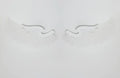 DecorBites™ Angel Wings RGB LED Wall Lamp for Living Room Bedroom Restaurant Bar