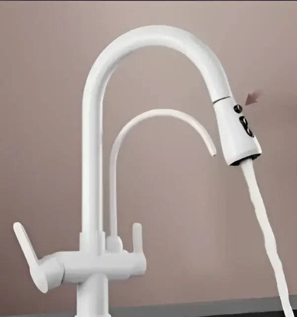 DecorBites™ Antique Brass 2-in-1 Kitchen Faucet with Pull Out Nozzle and Purification