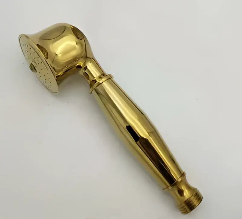 DecorBites™ Antique Gold Handheld Shower Head with Holder and Plumbing Hose