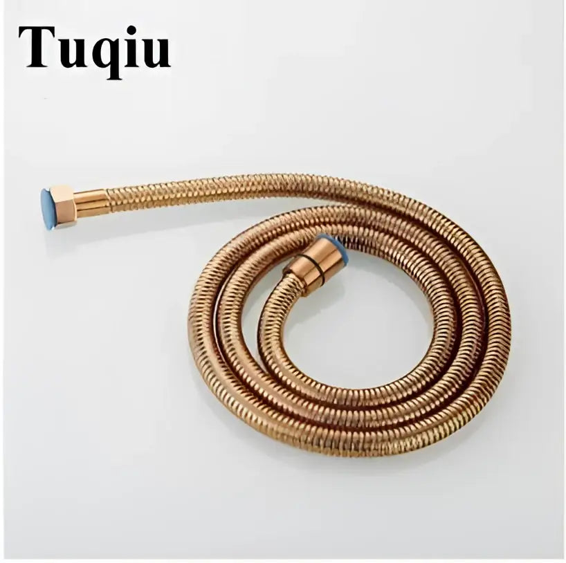 DecorBites™ Antique Gold Handheld Shower Head with Holder and Plumbing Hose