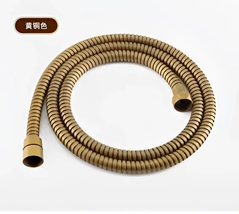 DecorBites™ Antique Gold Handheld Shower Head with Holder and Plumbing Hose