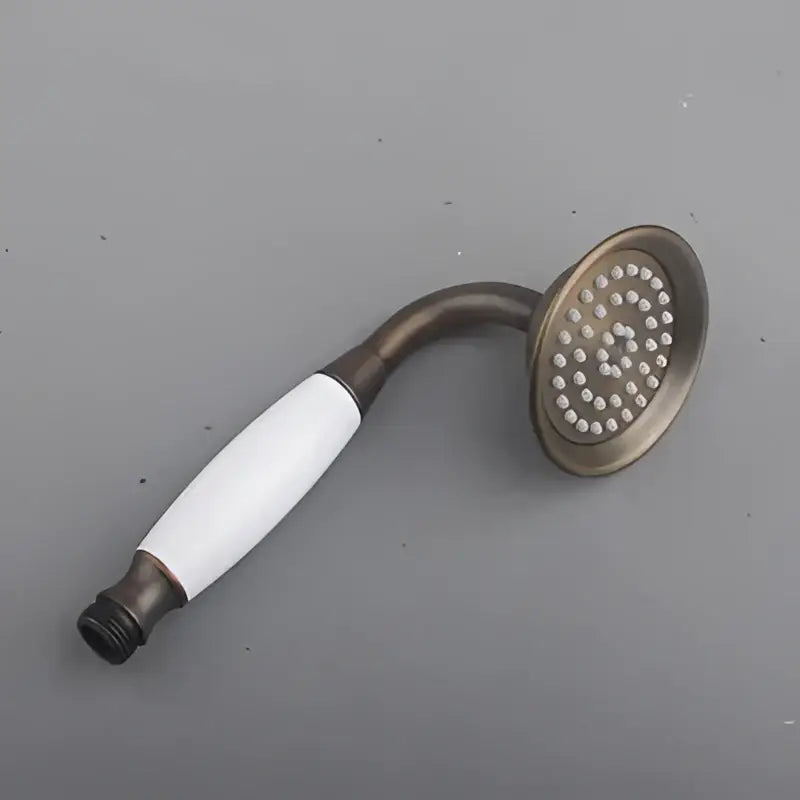 DecorBites™ Antique Gold Handheld Shower Head with Holder and Plumbing Hose