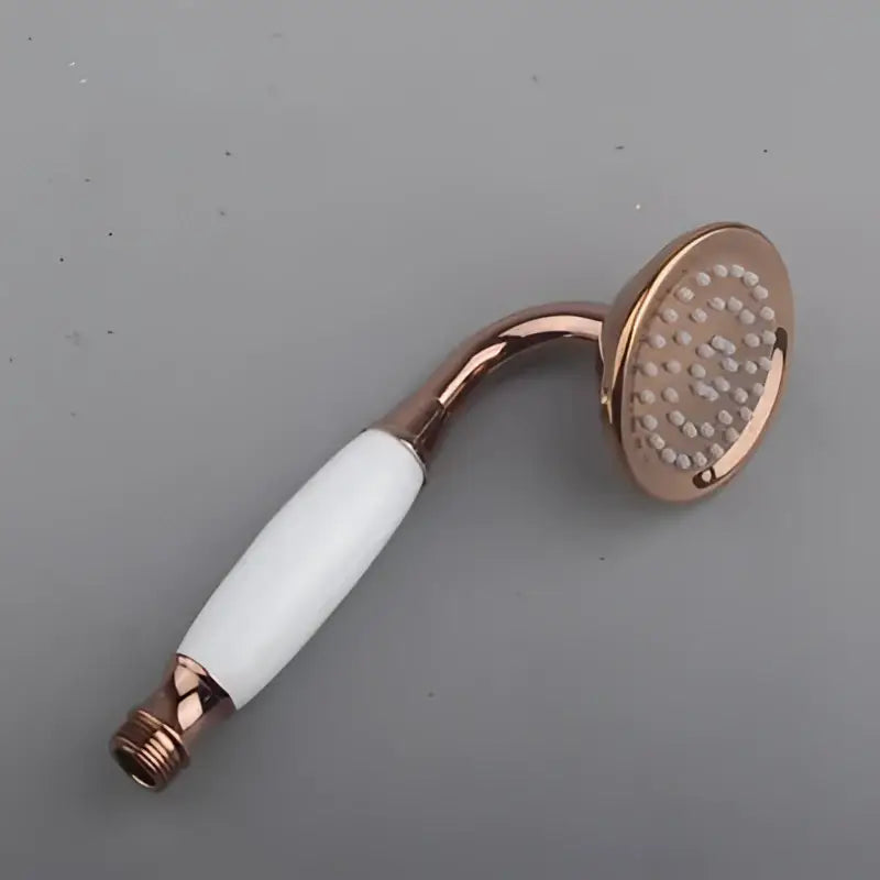 DecorBites™ Antique Handheld Shower Head with Holder, Plumbing Hose, and Toilet Bidet Sprayer