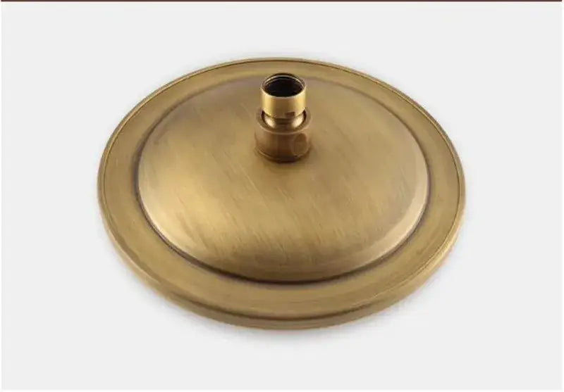 DecorBites™ Antique Handheld Shower Head with Holder, Plumbing Hose, and Toilet Bidet Sprayer