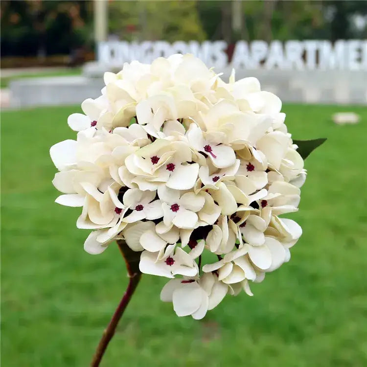 DecorBites™ Artificial Hydrangea Wedding Flowers Wall Home Decoration Indoor Bonsai Bouquet Background