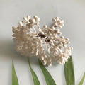 DecorBites™ Artificial Plants DIY Garland Craft Decoration Adornment Dried Plants 5g