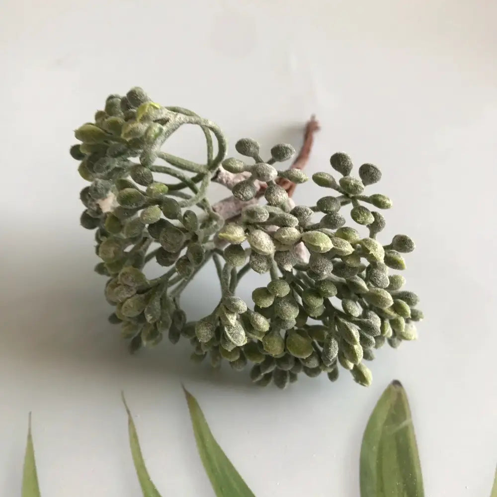 DecorBites™ Artificial Plants DIY Garland Craft Decoration Adornment Dried Plants 5g