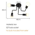 DecorBites™ Black Iron Ceiling Light for Living Room, Bedroom, Dining Room, and Kitchen