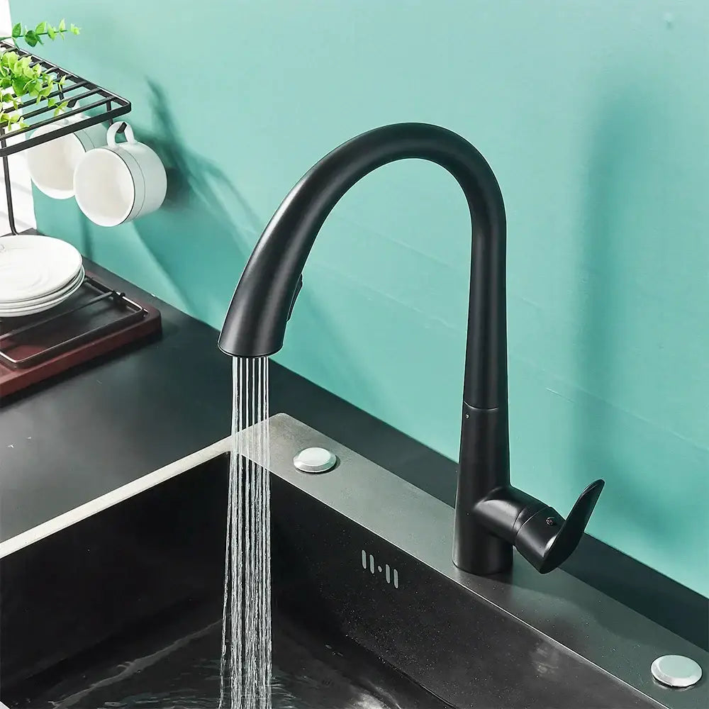 DecorBites™ Black Kitchen Faucet Single Handle Pull Out Hot Cold Water Mixer Tap