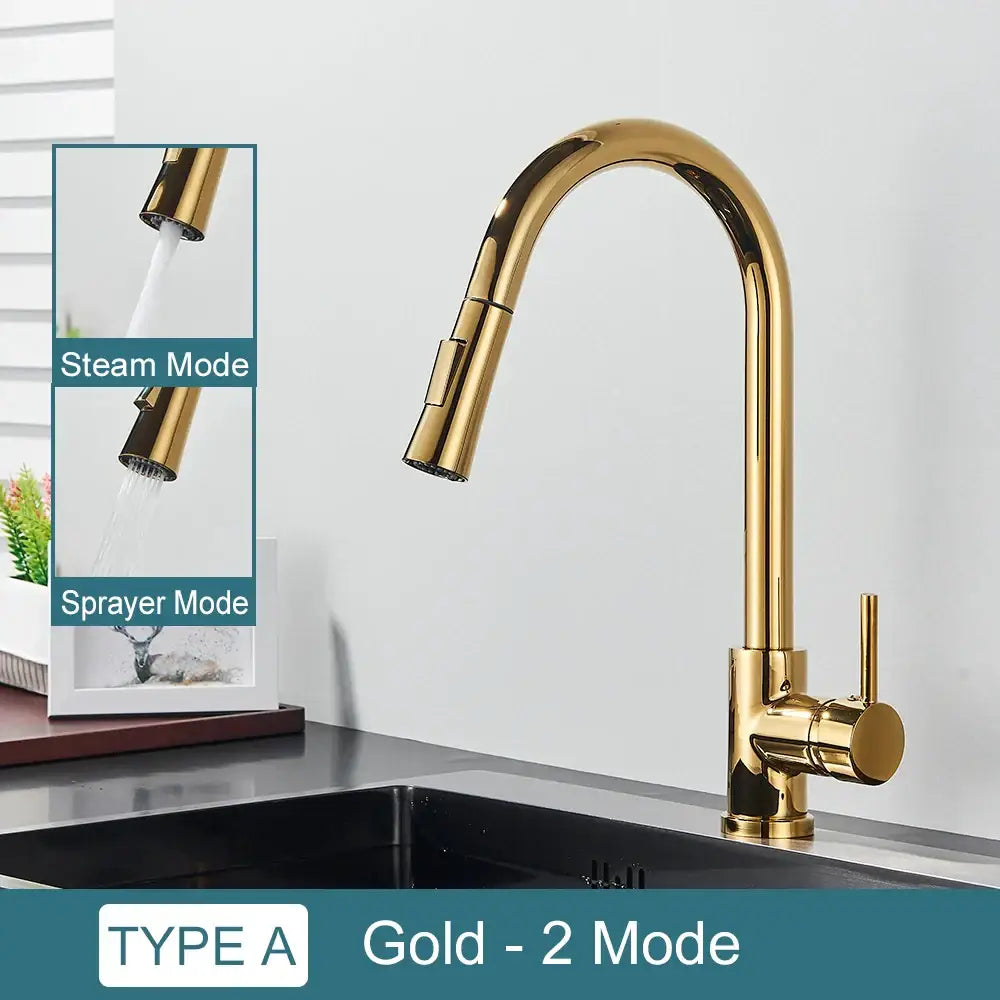 DecorBites™ Black Kitchen Faucet: Single Handle Pull Out Mixer, Two Function Hot and Cold Water Taps