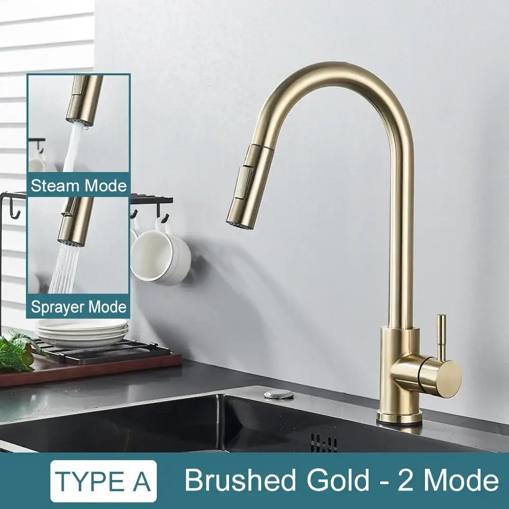 DecorBites™ Black Kitchen Faucet: Single Handle Pull Out Mixer, Two Function Hot and Cold Water Taps