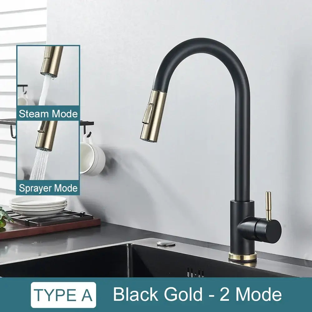 DecorBites™ Black Kitchen Faucet: Single Handle Pull Out Mixer, Two Function Hot and Cold Water Taps