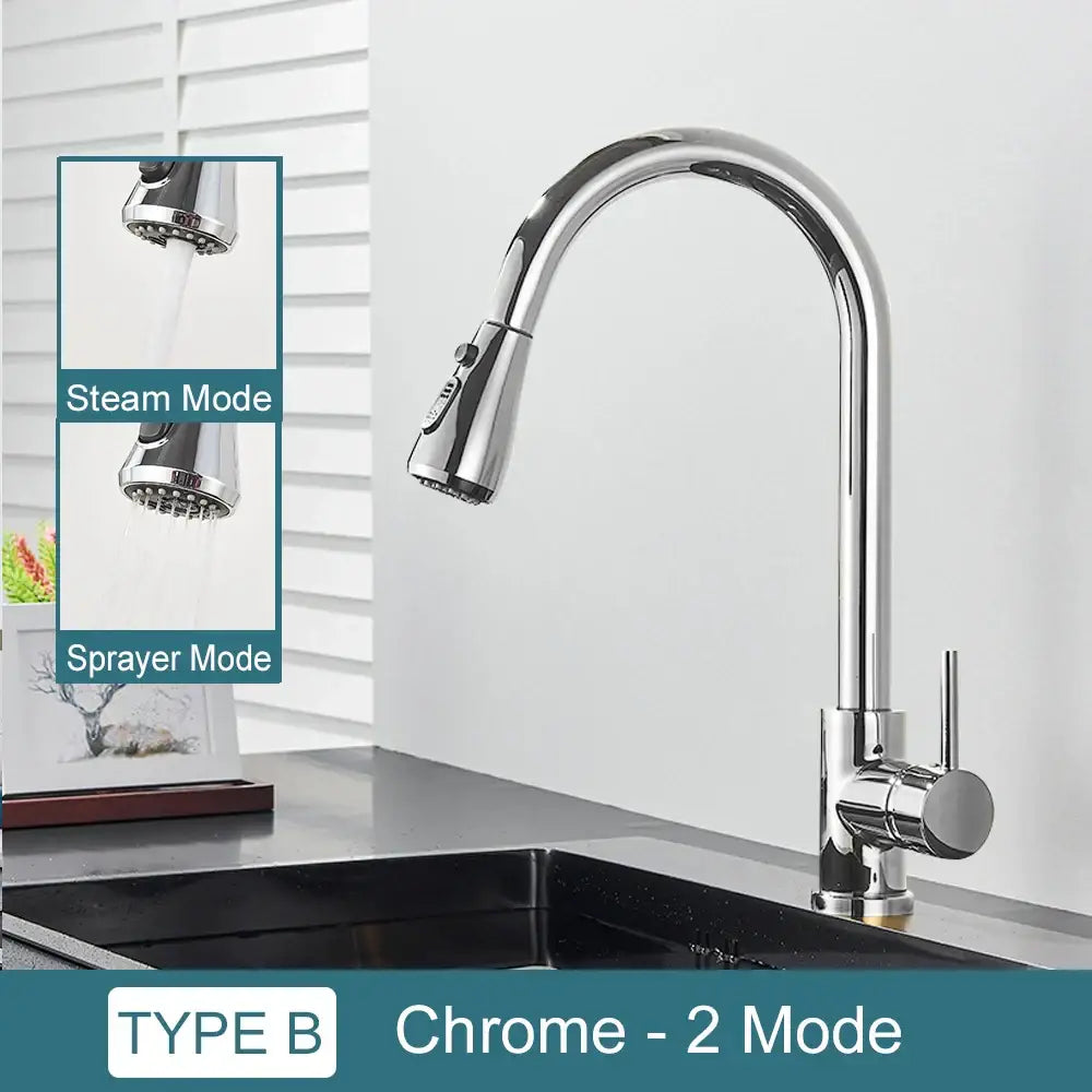 DecorBites™ Black Kitchen Faucet: Single Handle Pull Out Mixer, Two Function Hot and Cold Water Taps