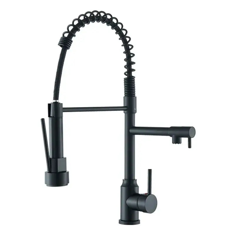DecorBites™ Black Kitchen Faucet Spring Pull Down Sprayer Dual Spout Nozzle Mixer Tap