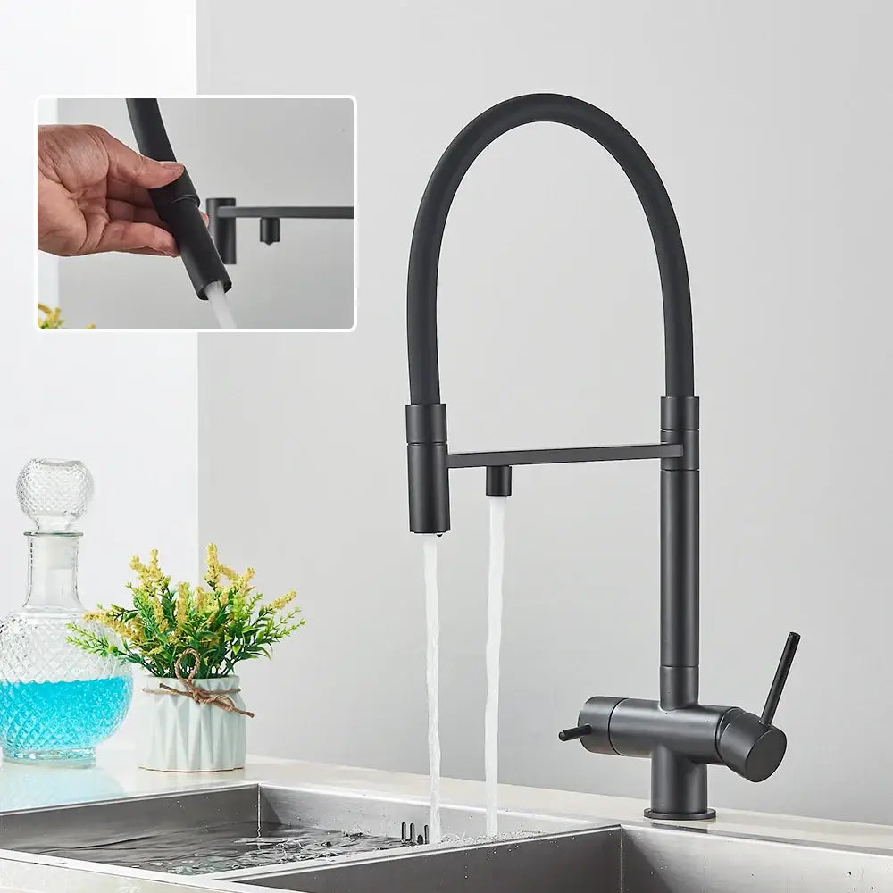 DecorBites™ Black Kitchen Faucet with Pull Down Sprayer and 2-in-1 Purification Technology