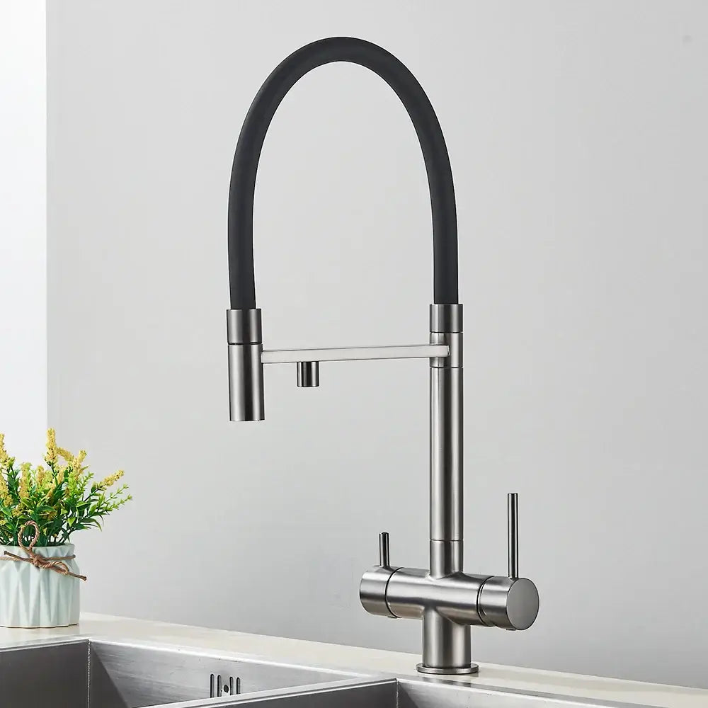DecorBites™ Black Kitchen Faucet with Pull Down Sprayer and 2-in-1 Purification Technology