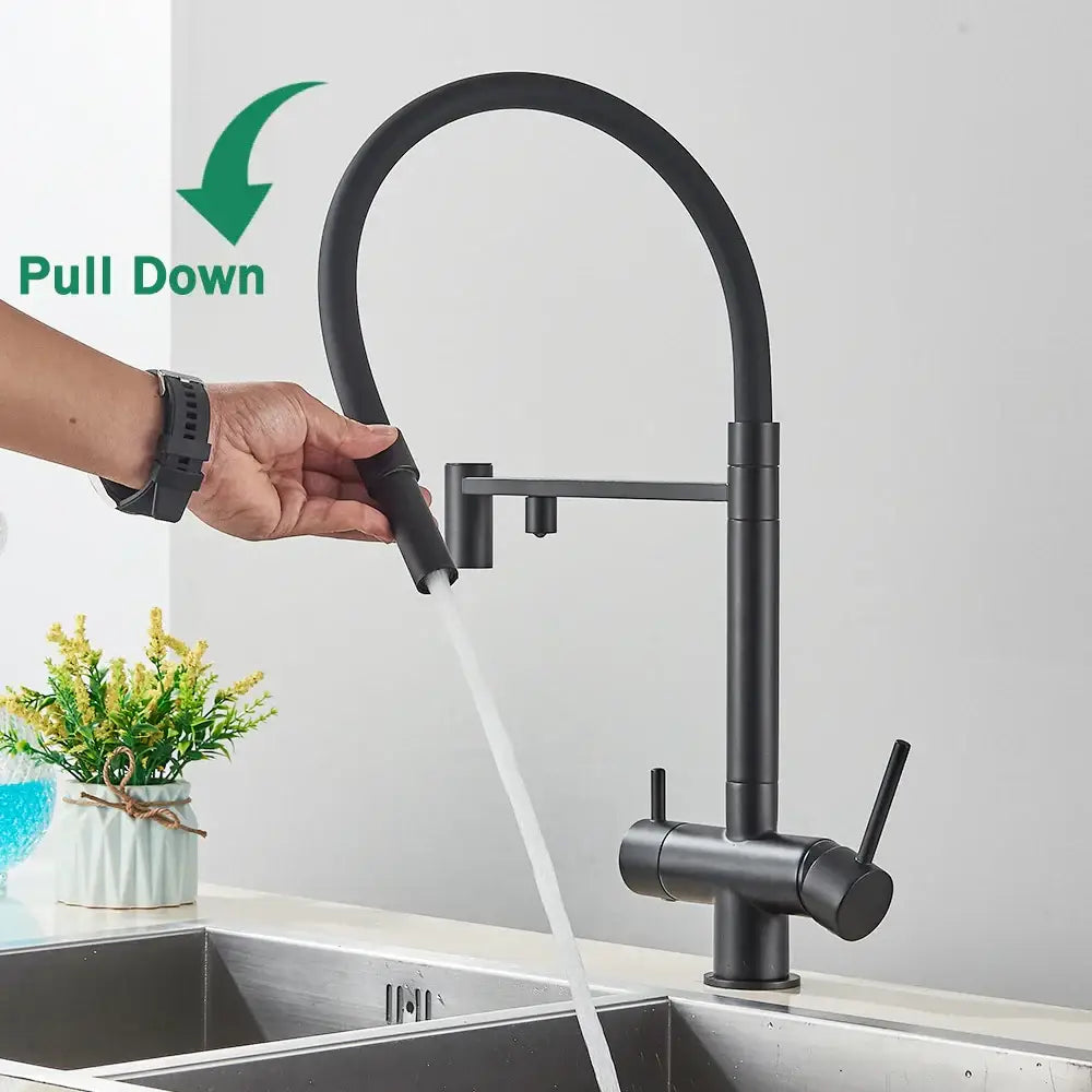 DecorBites™ Black Kitchen Faucet with Pull Down Sprayer and 2-in-1 Purification Technology
