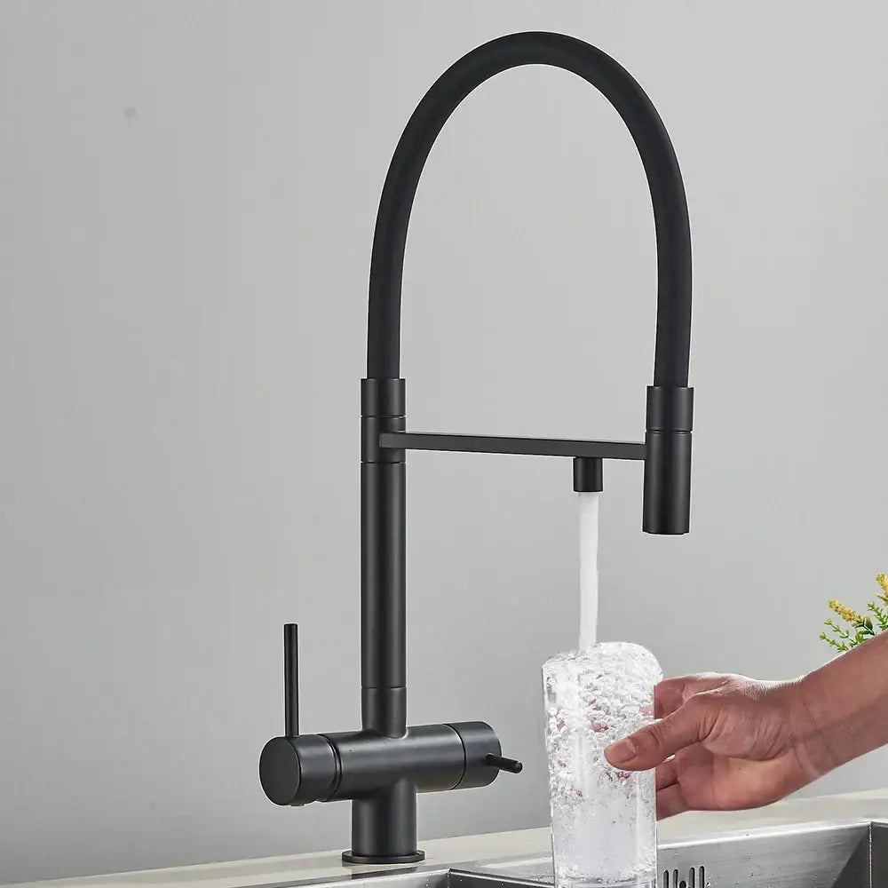 DecorBites™ Black Kitchen Faucet with Pull Down Sprayer and 2-in-1 Purification Technology