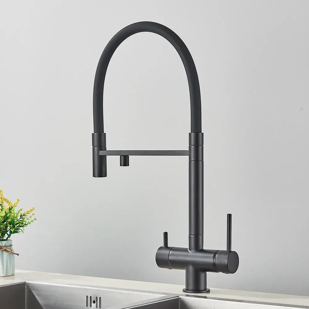 DecorBites™ Black Kitchen Faucet with Pull Down Sprayer and 2-in-1 Purification Technology