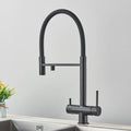 DecorBites™ Black Kitchen Faucet with Pull Down Sprayer and 2-in-1 Purification Technology