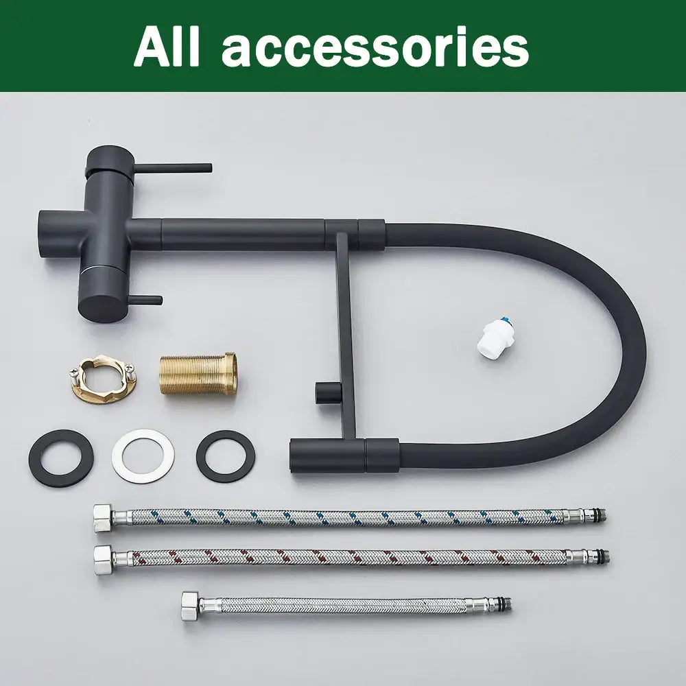 DecorBites™ Black Kitchen Faucet with Pull Down Sprayer and 2-in-1 Purification Technology