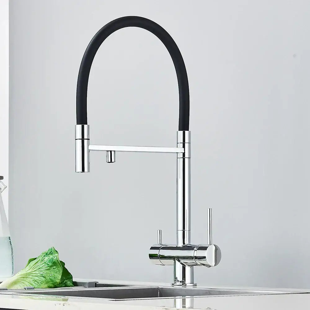 DecorBites™ Black Kitchen Faucet with Pull Down Sprayer and 2-in-1 Purification Technology