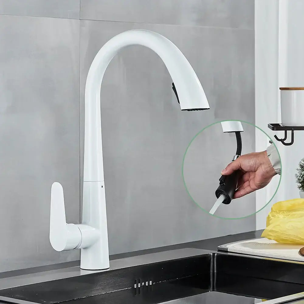 DecorBites™ Black Kitchen Faucet with Pull Out Sprayer and Single Lever Control
