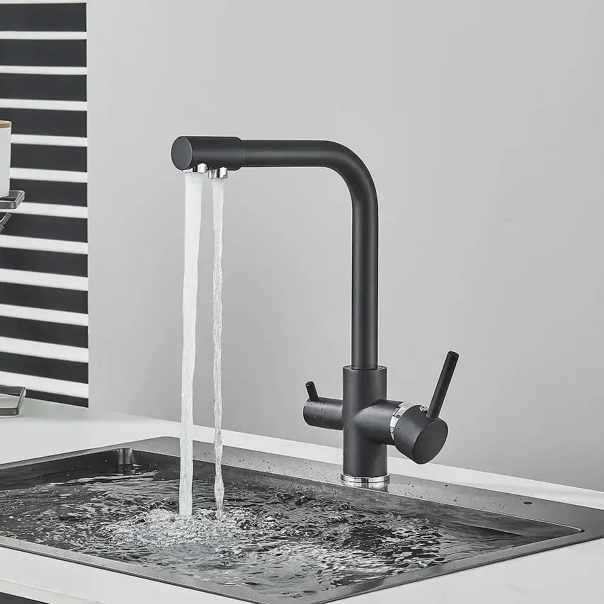 DecorBites™ Black Kitchen Faucet with Rotatable Water Purification Feature